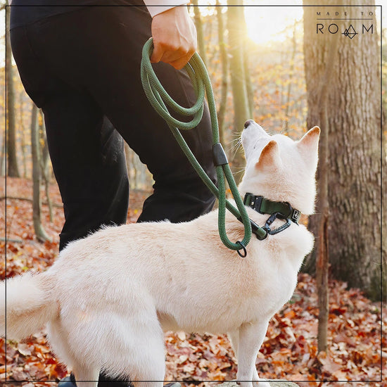 Explorer Leash -  - Made To Roam
