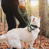 Explorer Leash -  - Made To Roam
