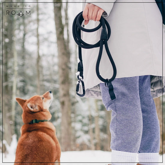 Explorer Leash -  - Made To Roam