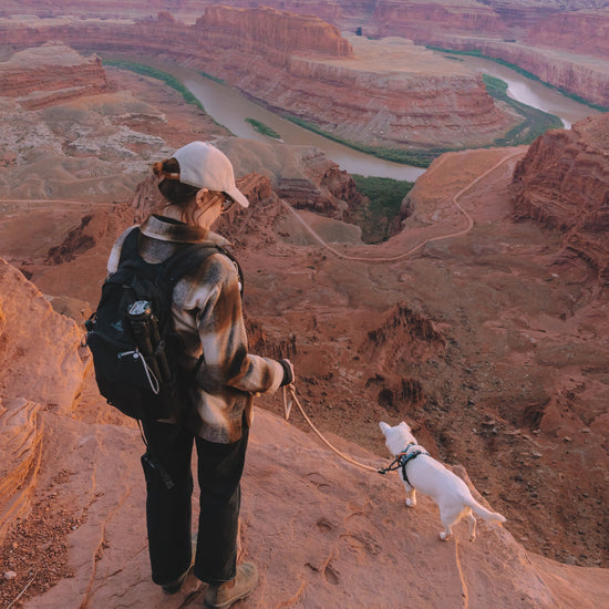 Explorer Leash -  - Made To Roam