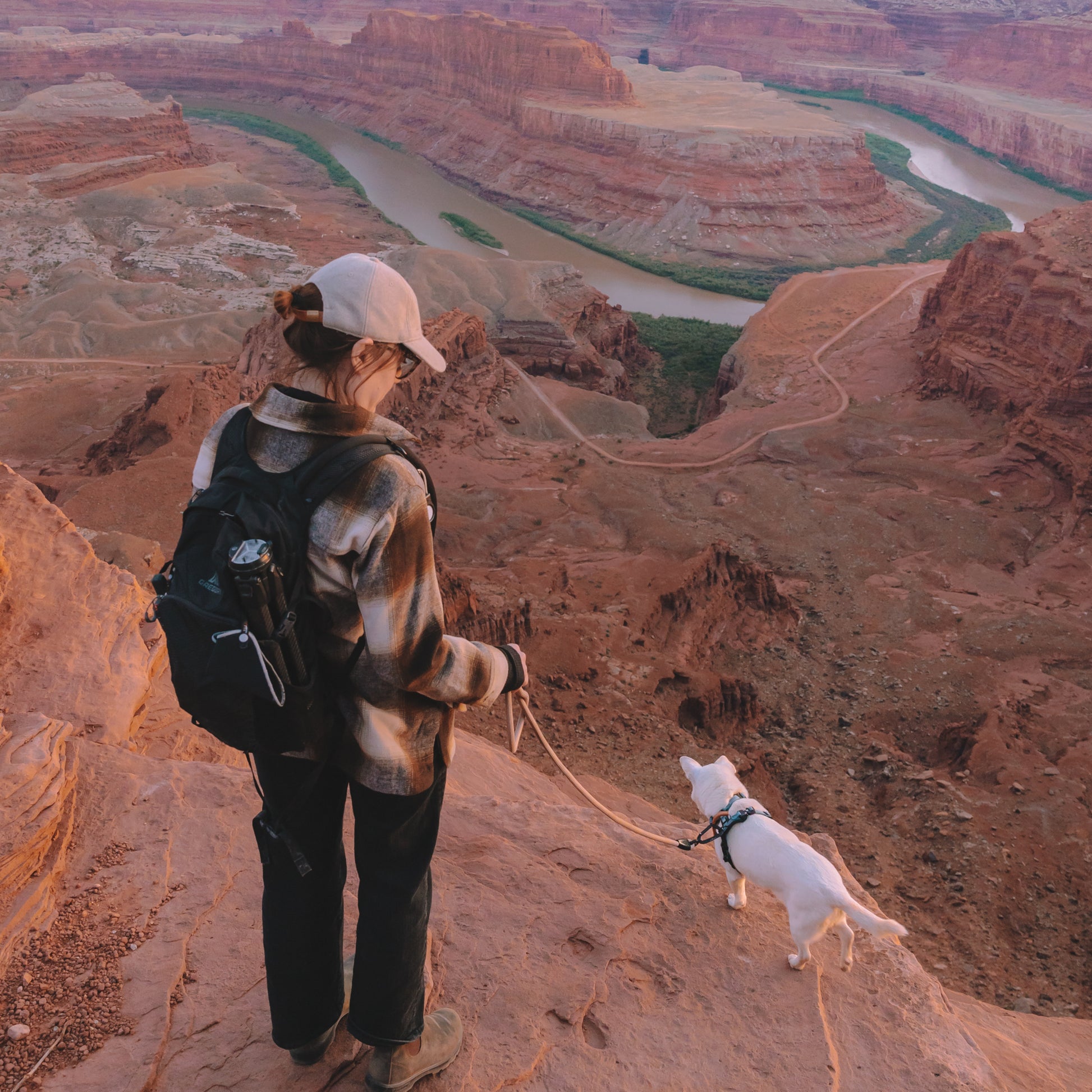 Explorer Leash -  - Made To Roam