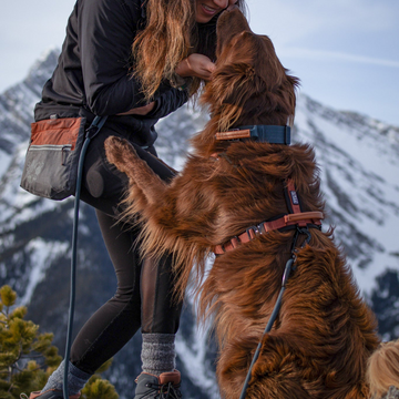 so that you never have to compromise between what’s best for your dog and what’s best for you.