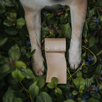 Eco-friendly Initiatives