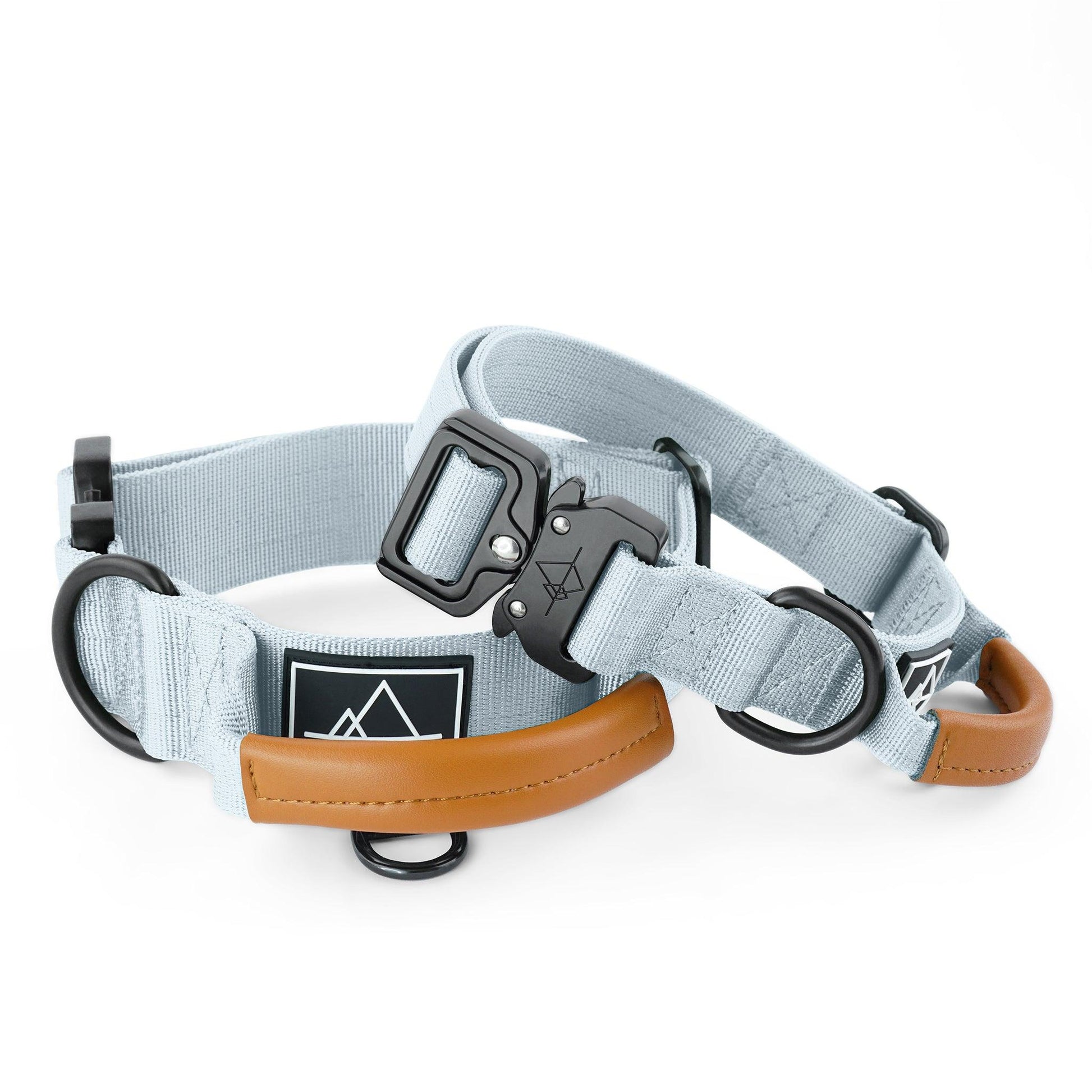 Explorer Control Collar - - Made To Roam