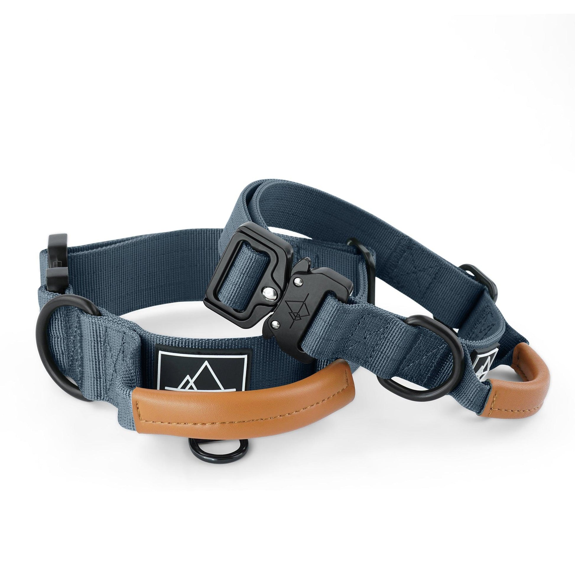 Explorer Control Collar - - Made To Roam