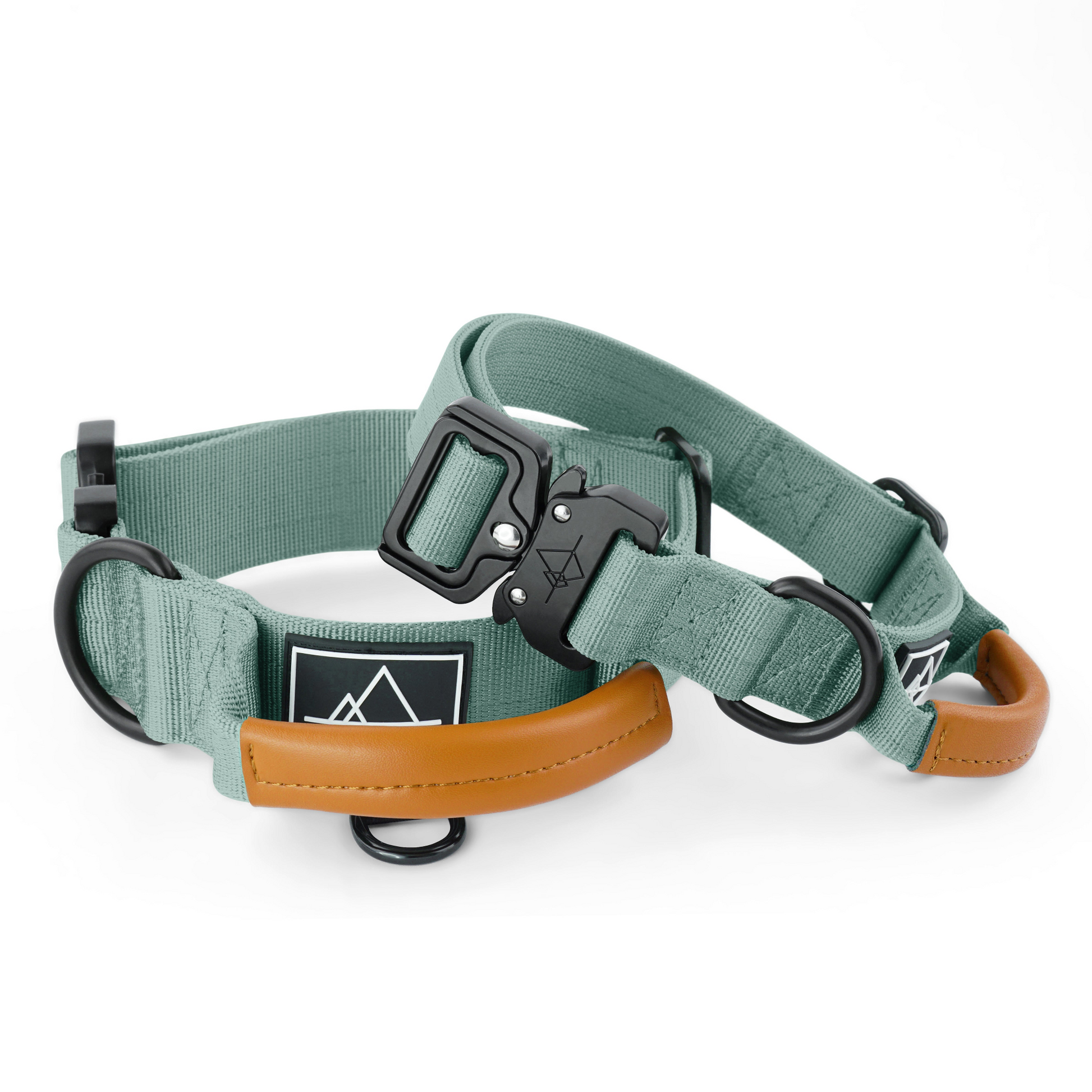 Explorer Control Collar - - Made To Roam