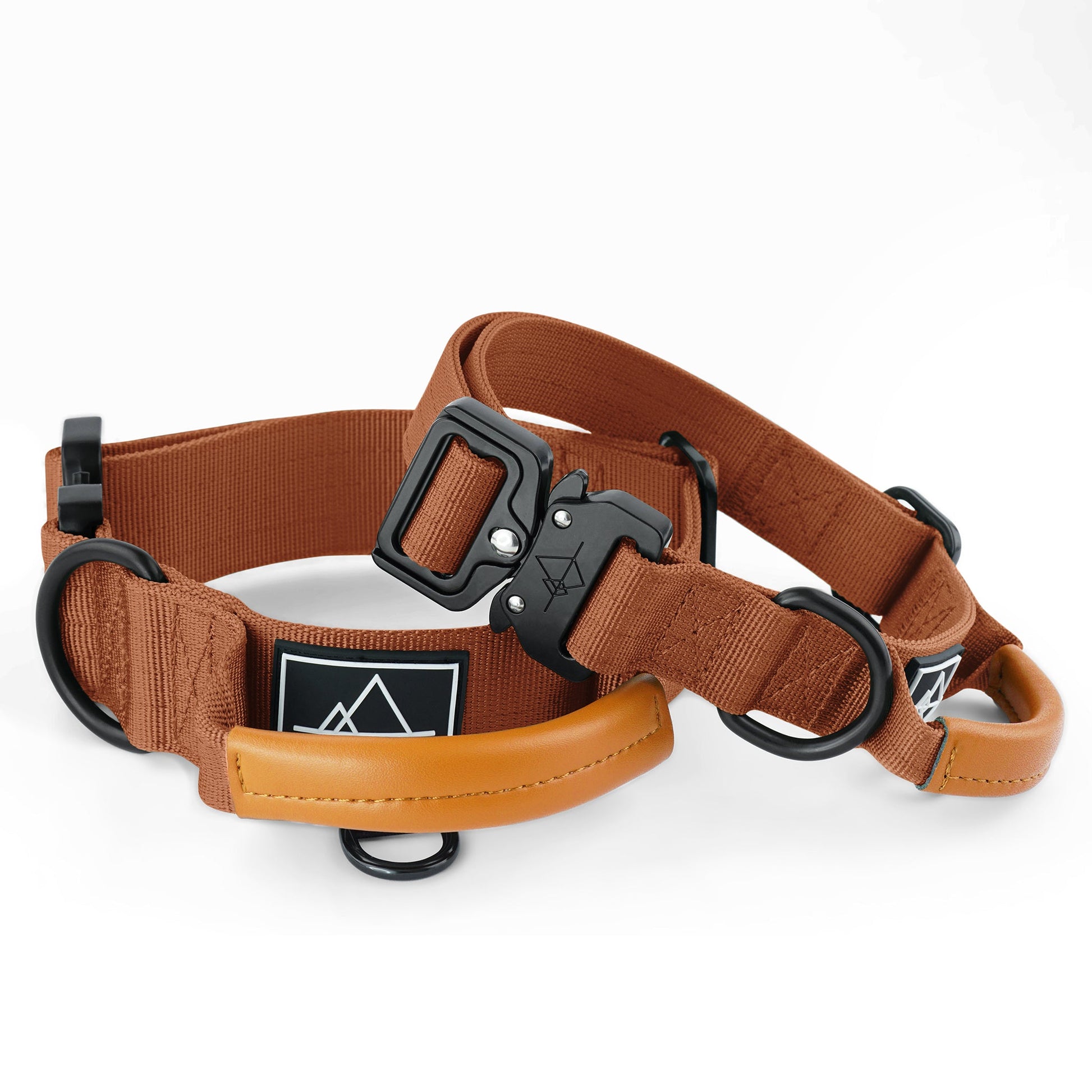 Explorer Control Collar - - Made To Roam