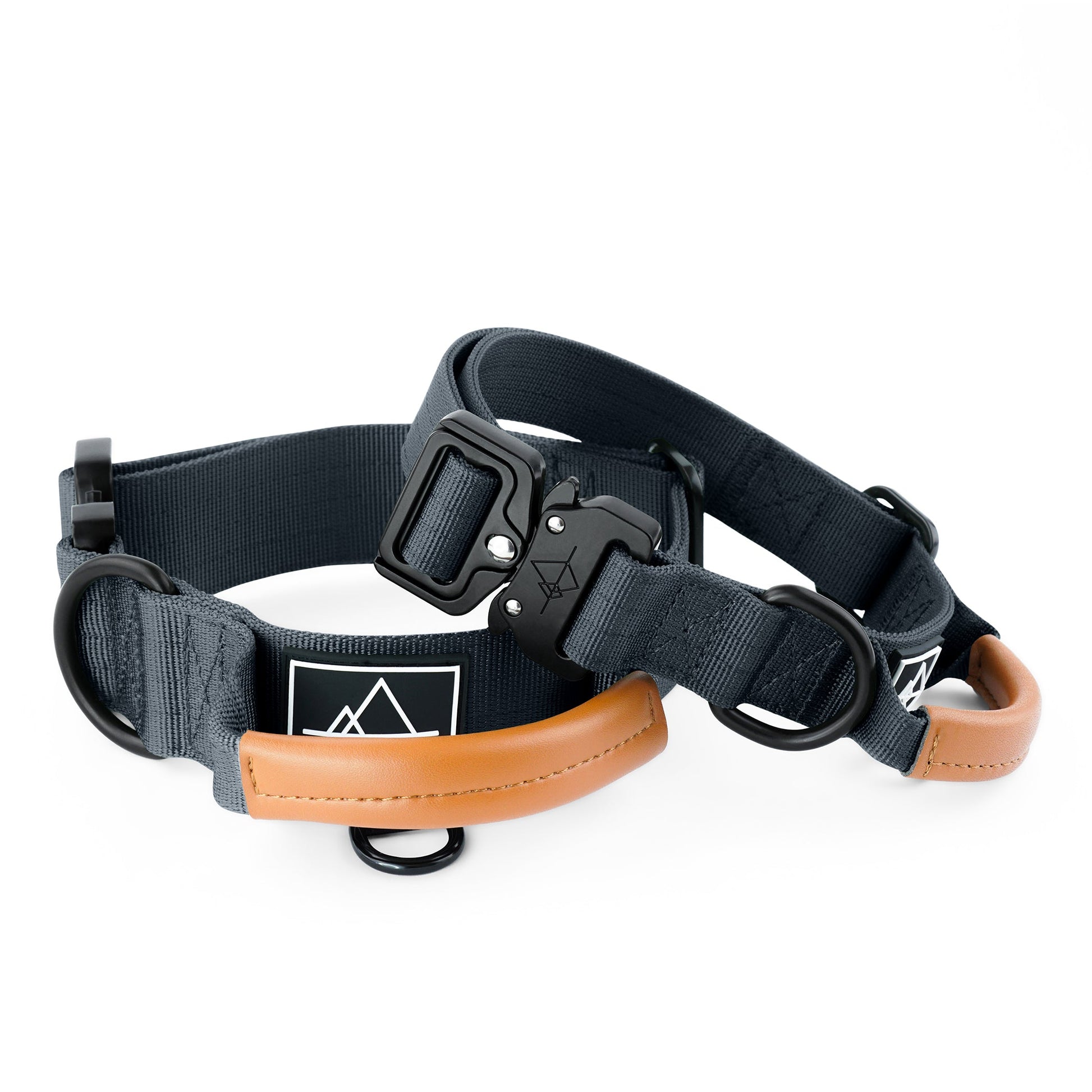 Explorer Control Collar - - Made To Roam
