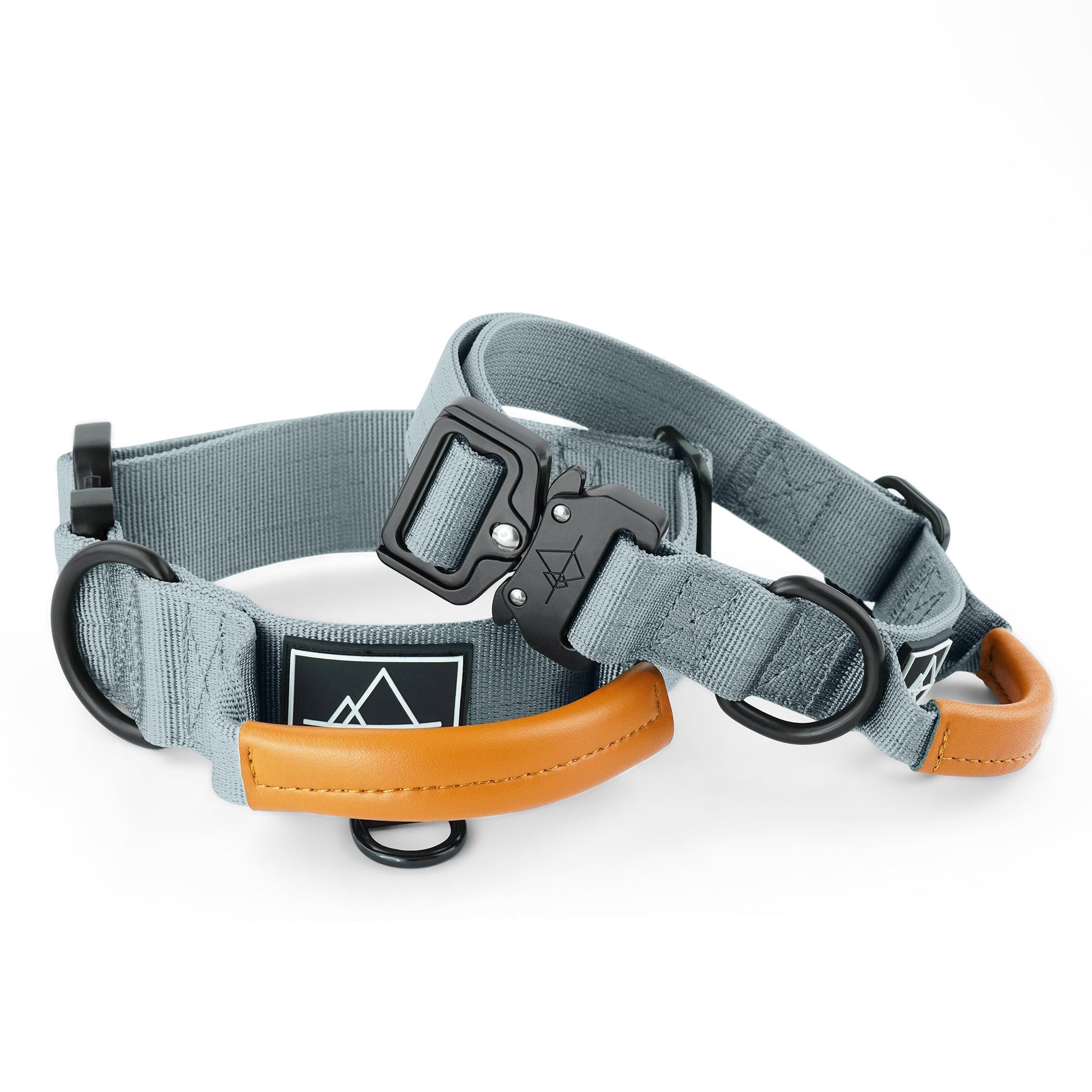 Explorer Control Collar - - Made To Roam