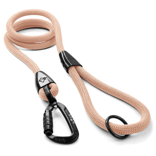 Explorer Leash -  - Made To Roam