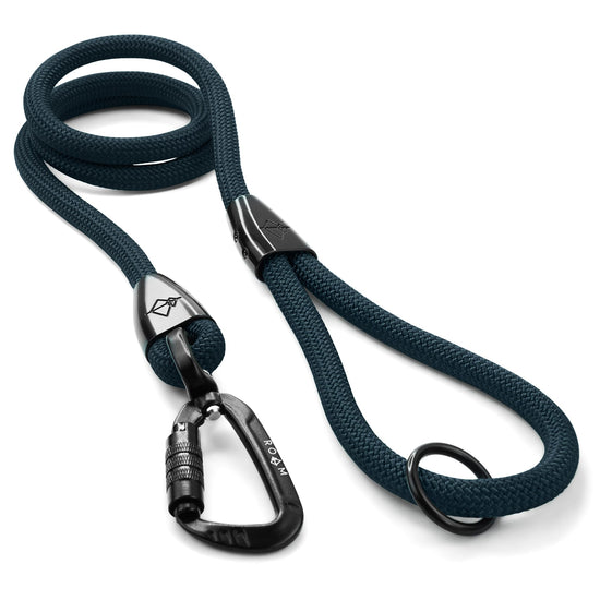 Explorer Leash -  - Made To Roam