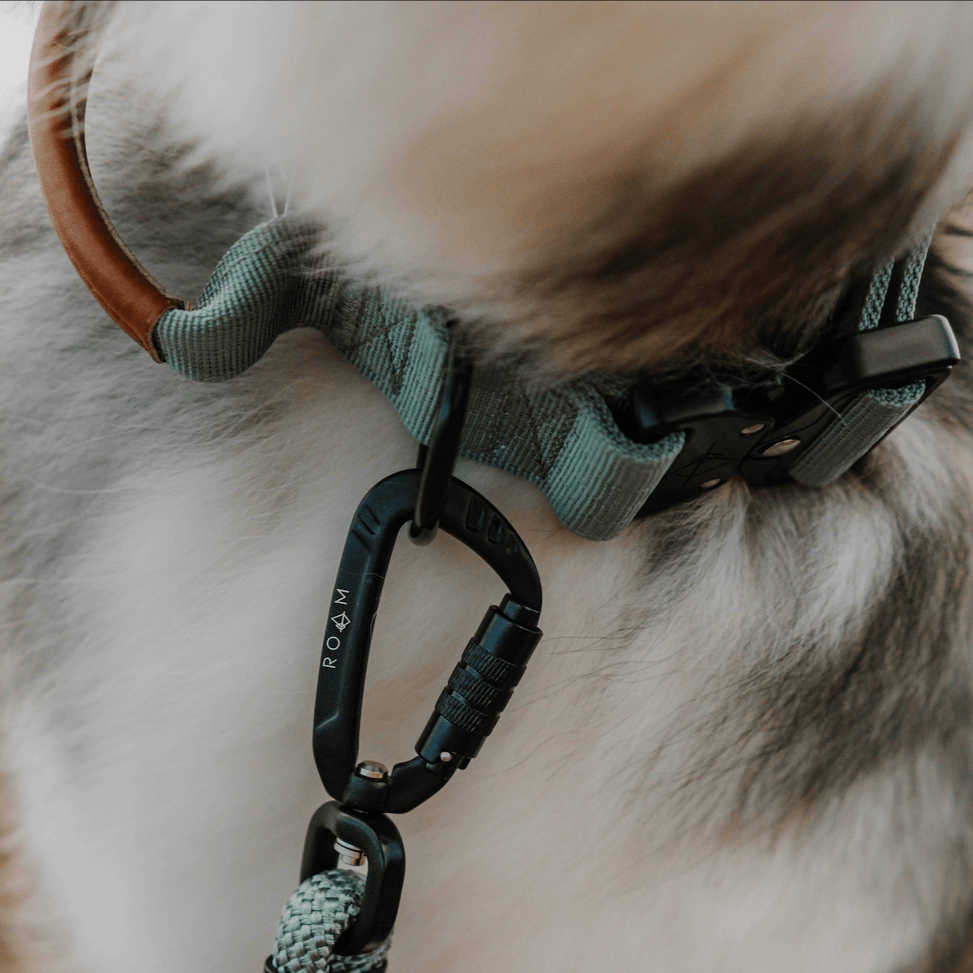 Explorer Control Collar - - Made To Roam