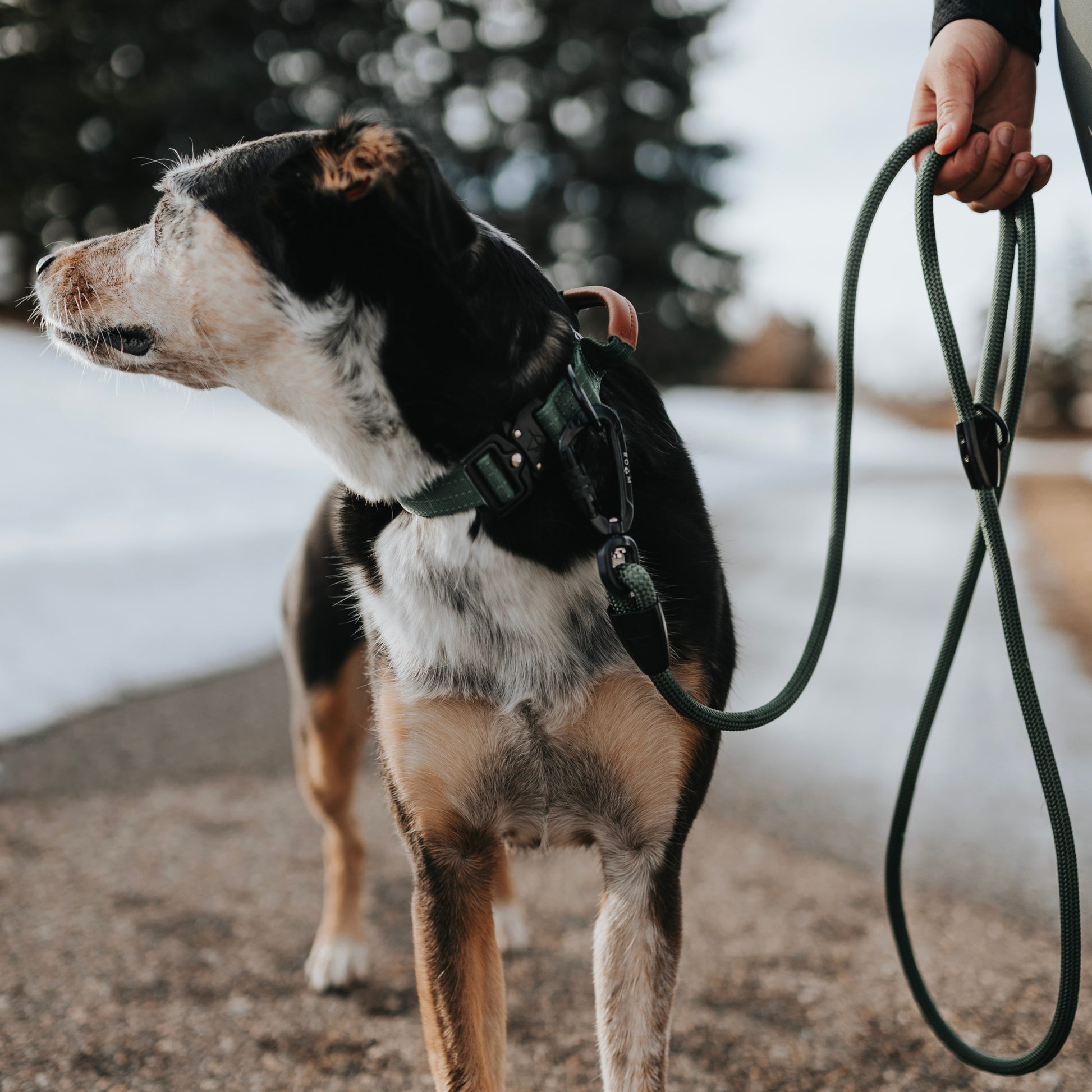 Explorer Control Collar - - Made To Roam