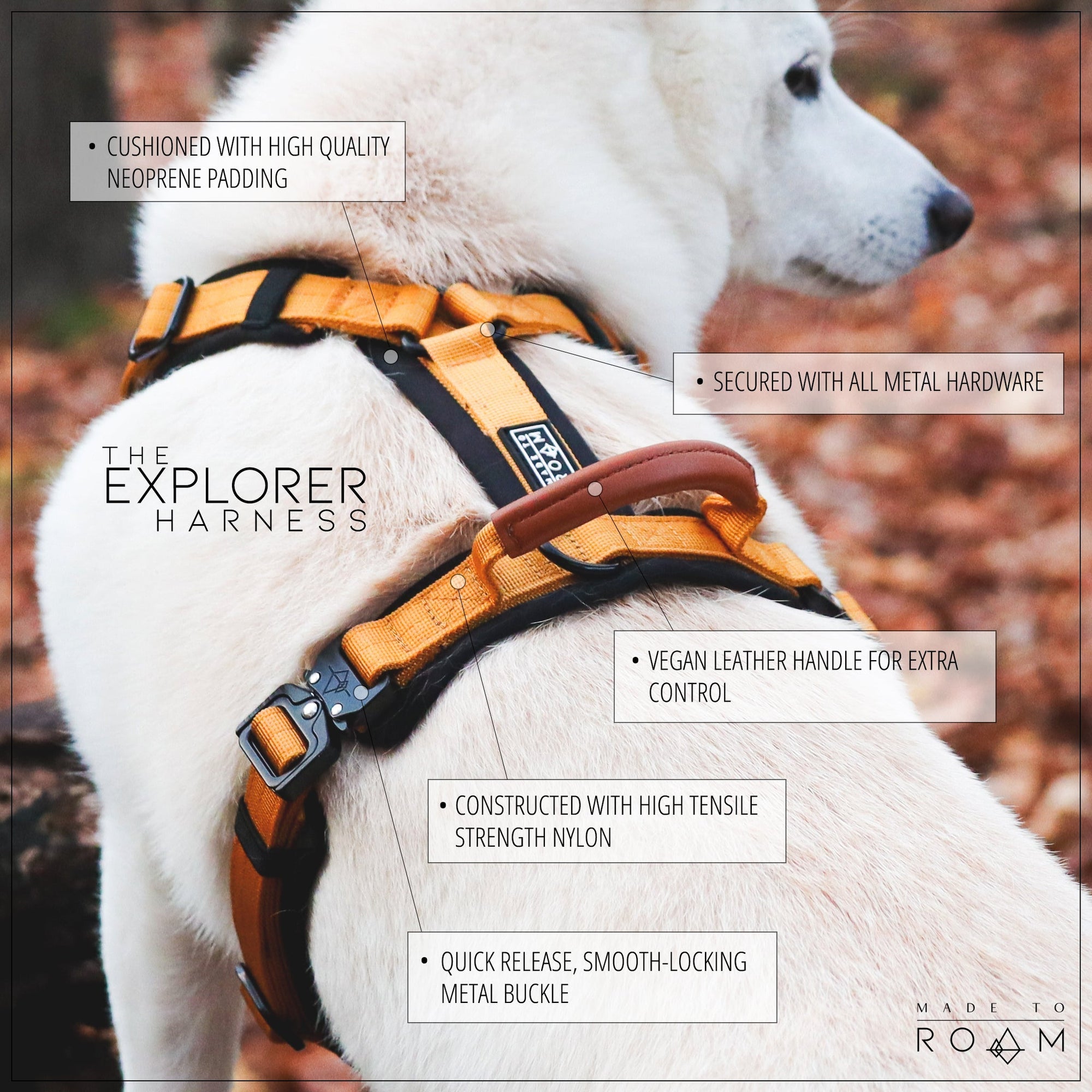 Explorer Harness - Vermont Weekends