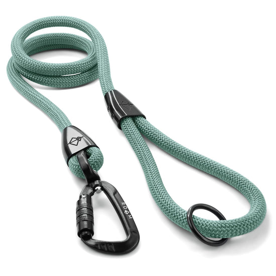 Explorer Leash -  - Made To Roam