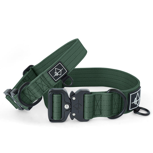 Explorer Classic Collars - - Made To Roam