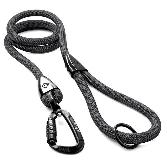 Explorer Leash -  - Made To Roam