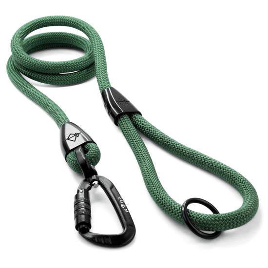 Explorer Leash -  - Made To Roam