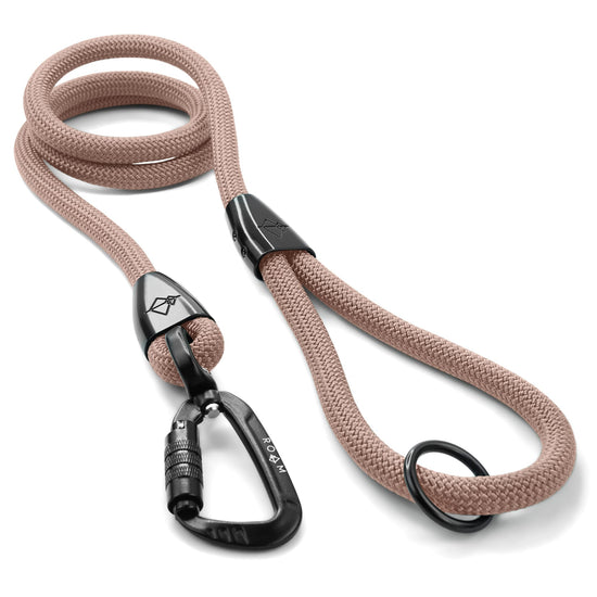 Explorer Leash -  - Made To Roam