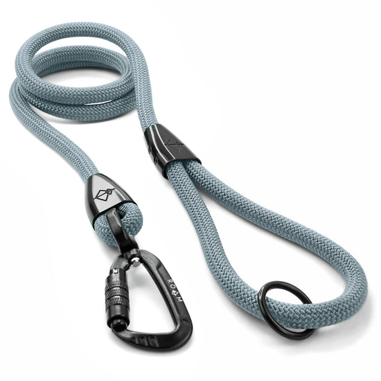 Explorer Leash -  - Made To Roam