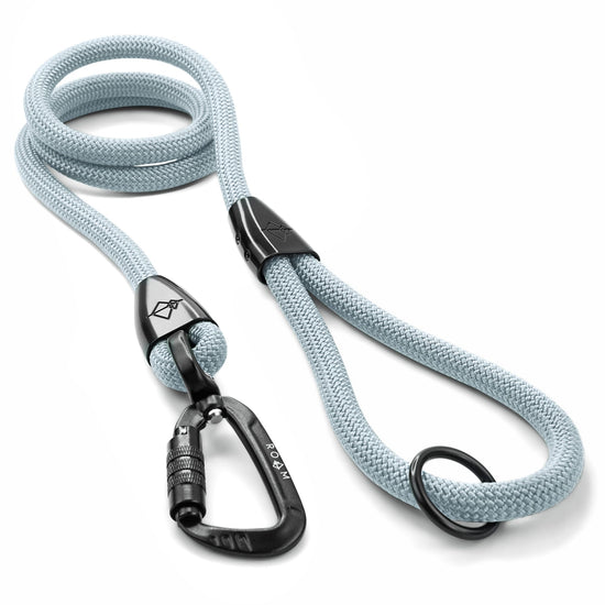 Explorer Leash -  - Made To Roam
