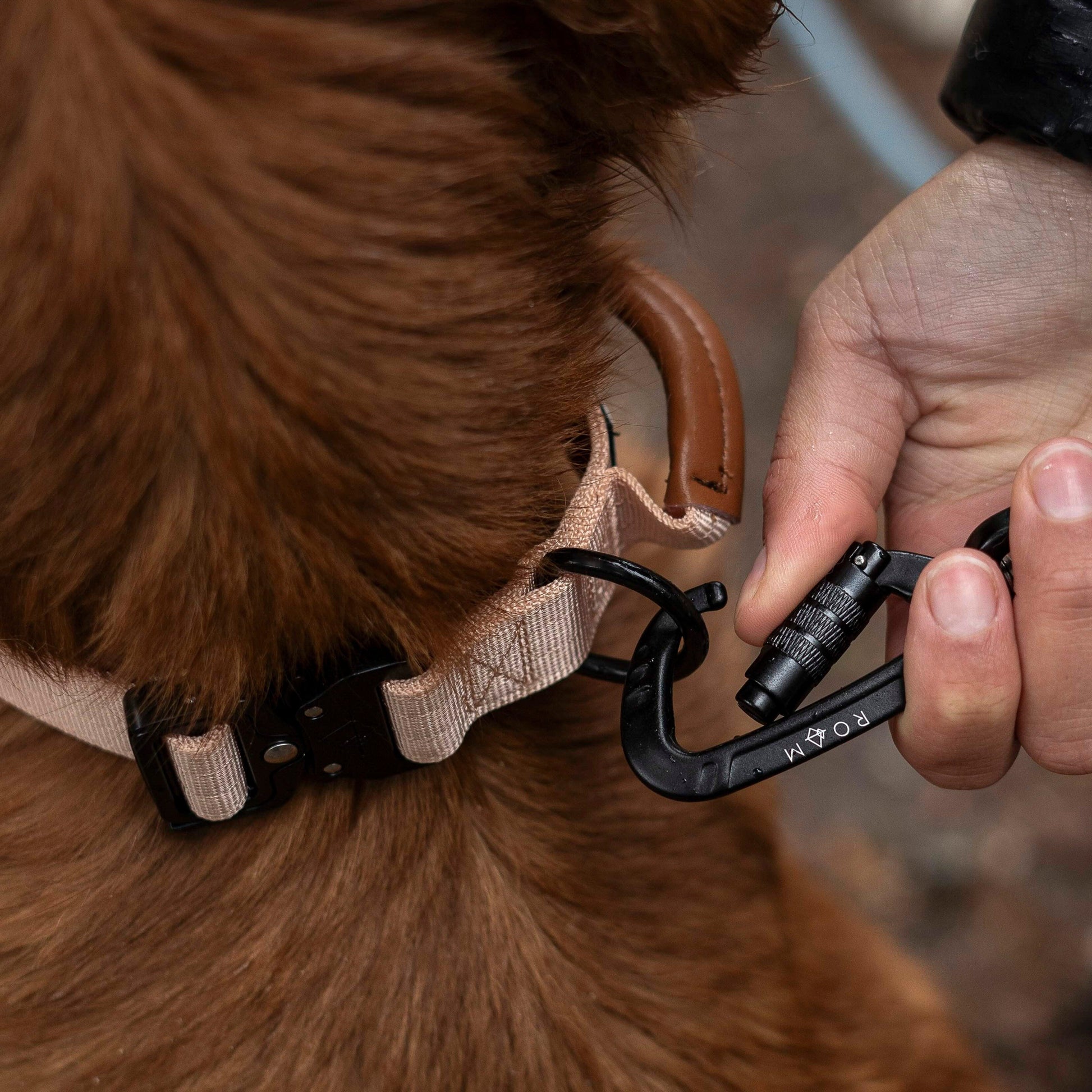 Explorer Control Collar - - Made To Roam