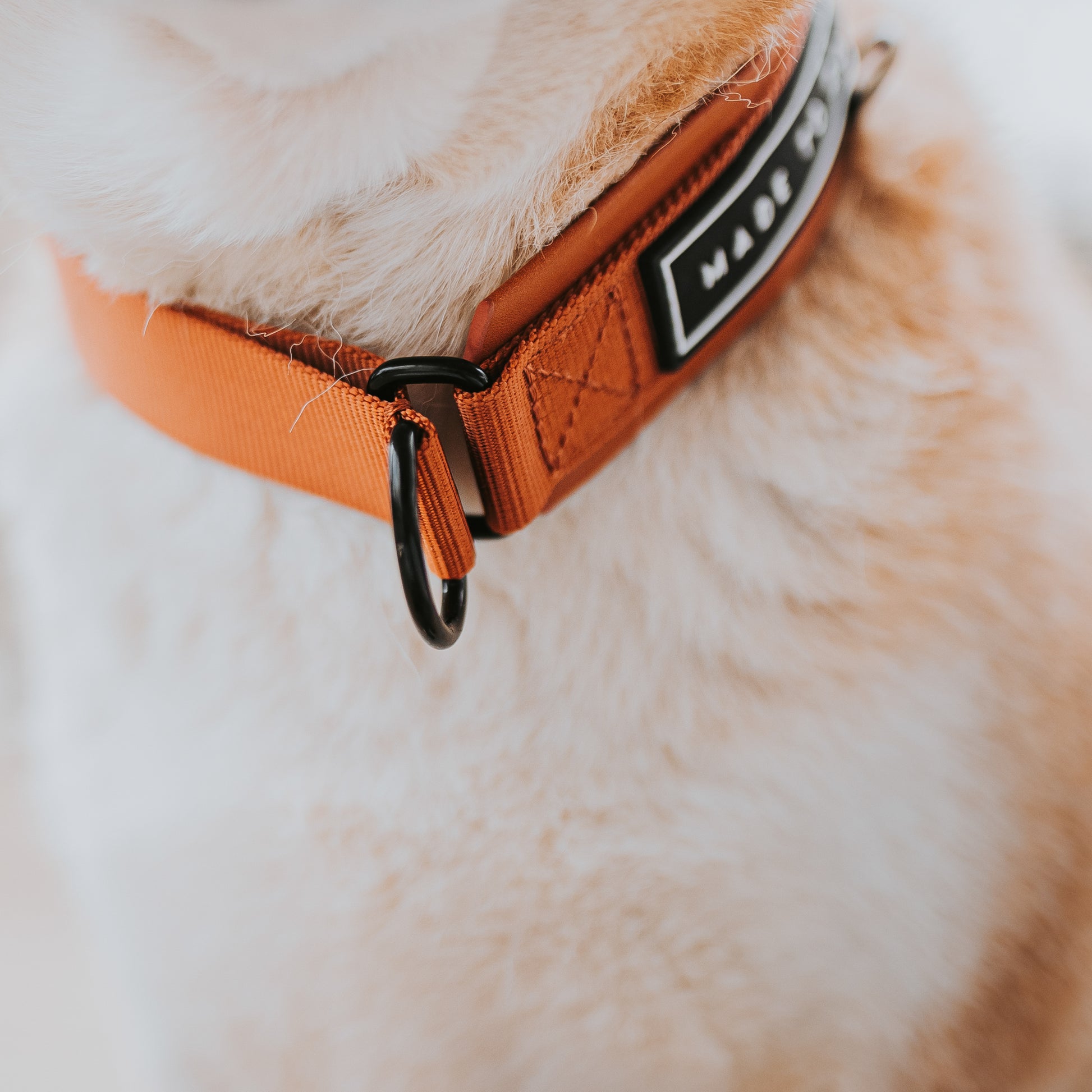 Everyday Collar 3 - - Made To Roam