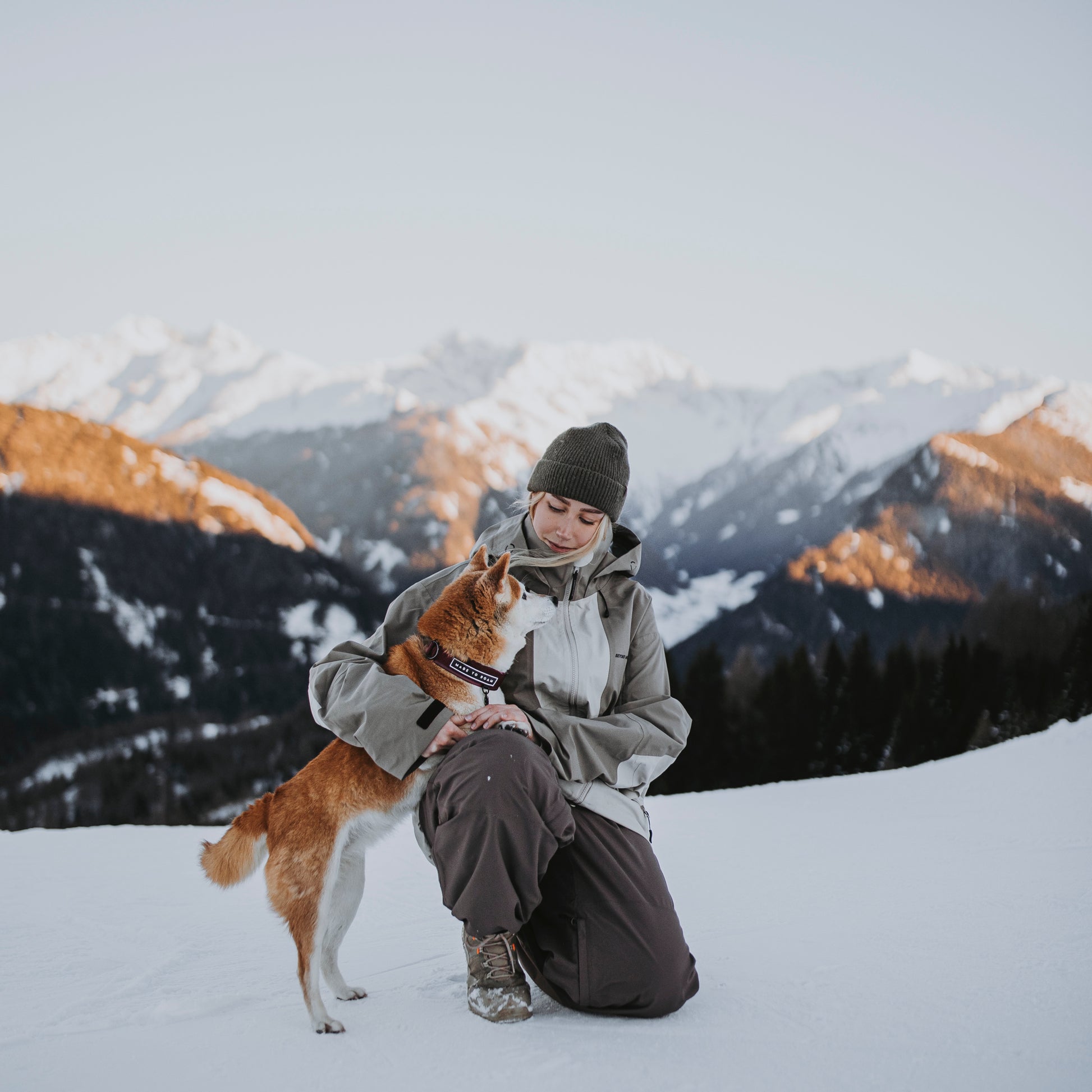 Everyday Collar 3 - - Made To Roam