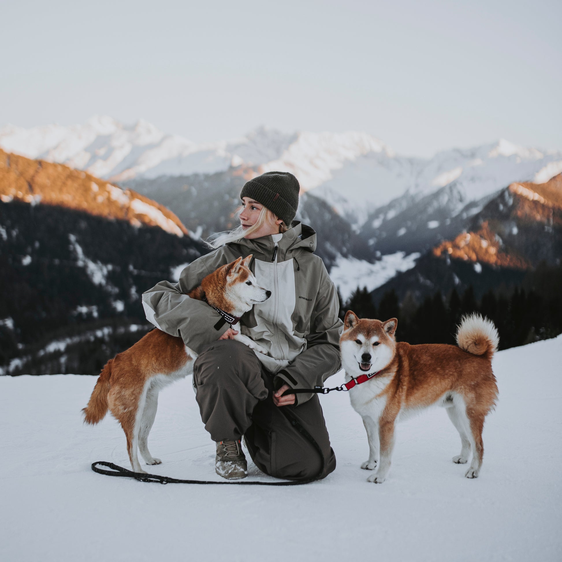 Everyday Collar 3 - - Made To Roam