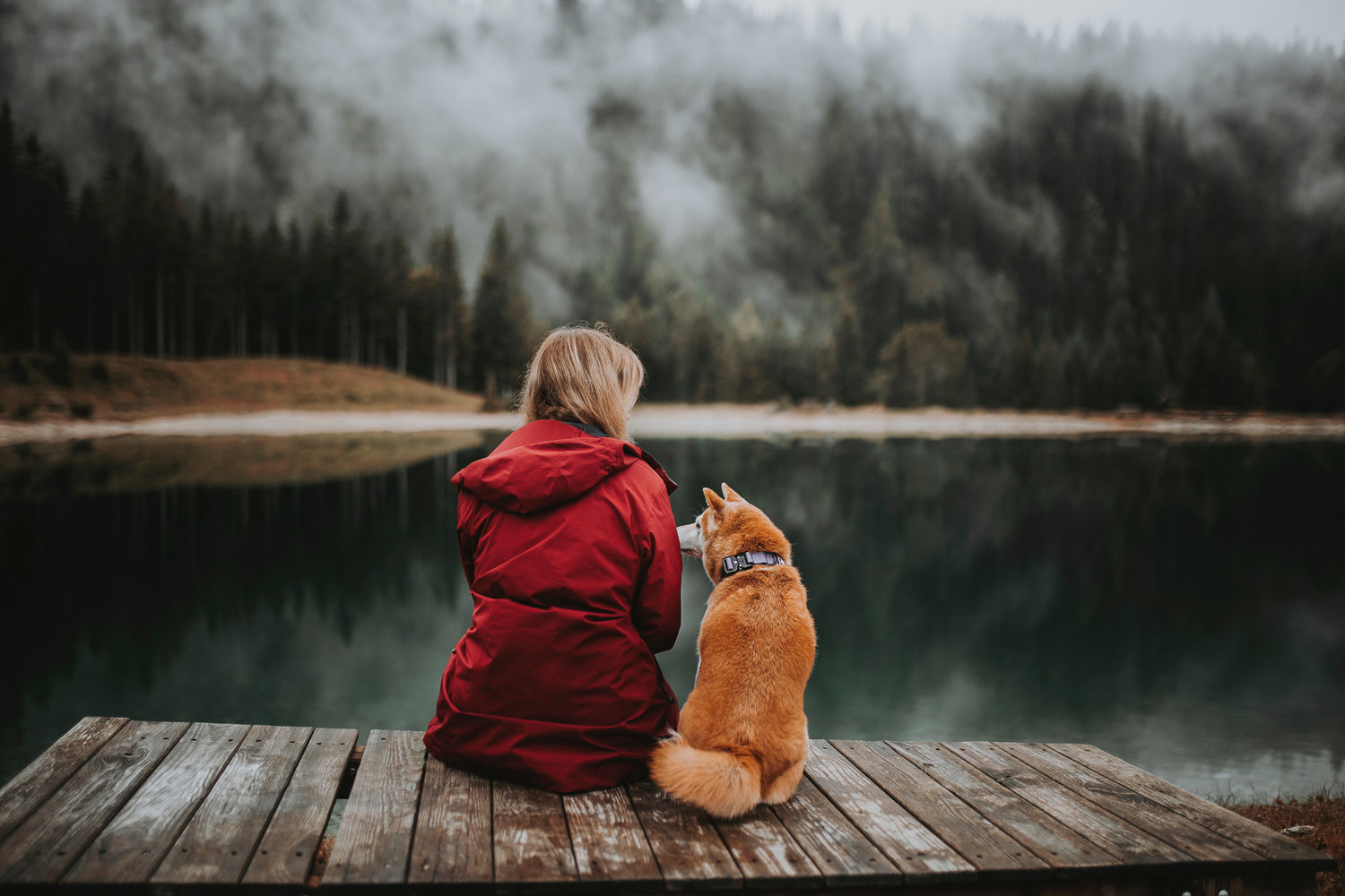 Person in a red jacket sitting on a wooden dock with a dog, looking at a misty forest lake. Made To Roam About Us