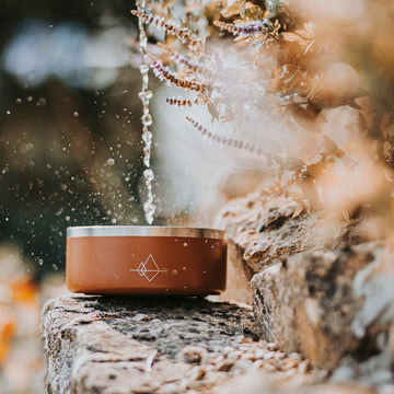 Everest Bowl - - Made To Roam