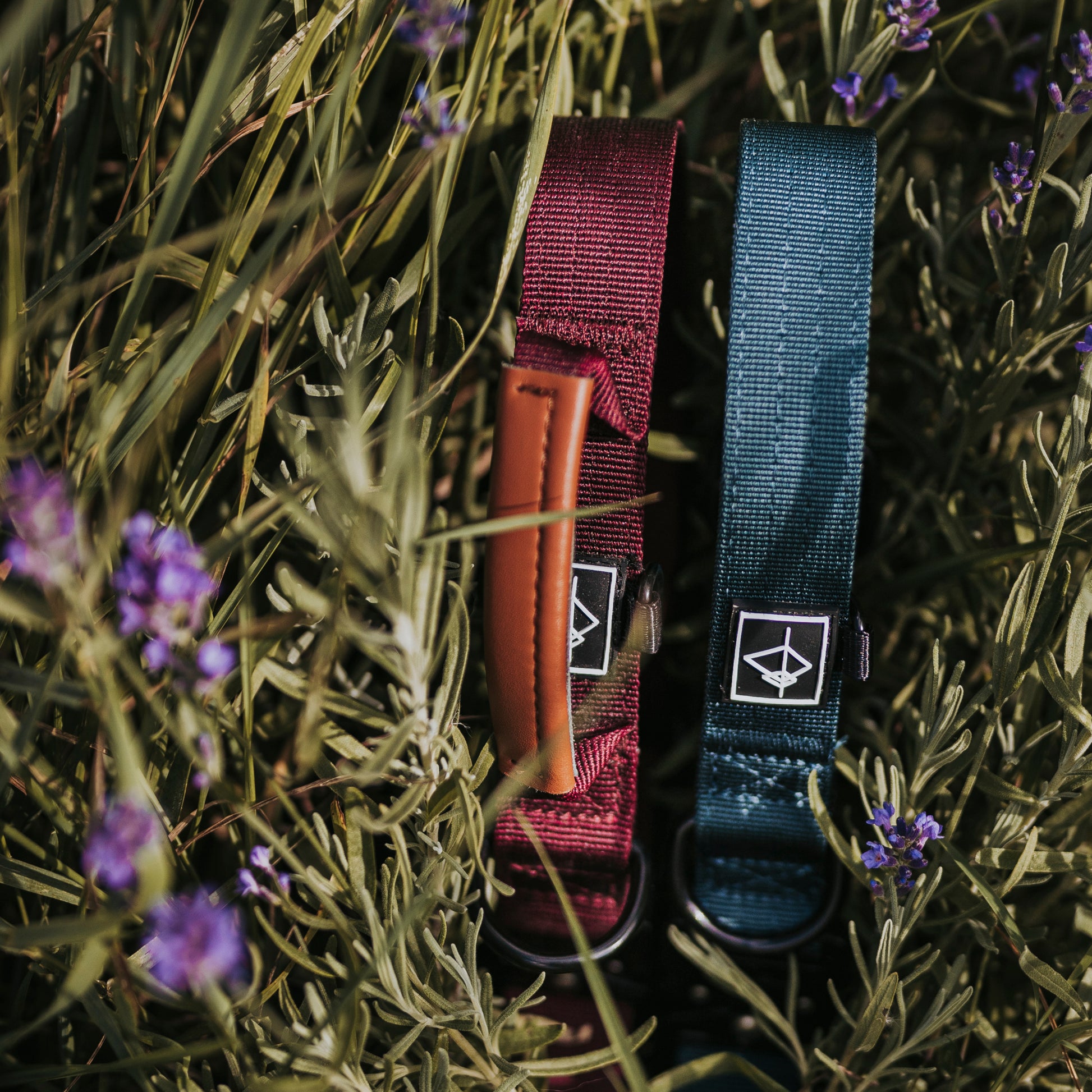 Explorer Control Collar - - Made To Roam