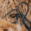Explorer Leash -  - Made To Roam