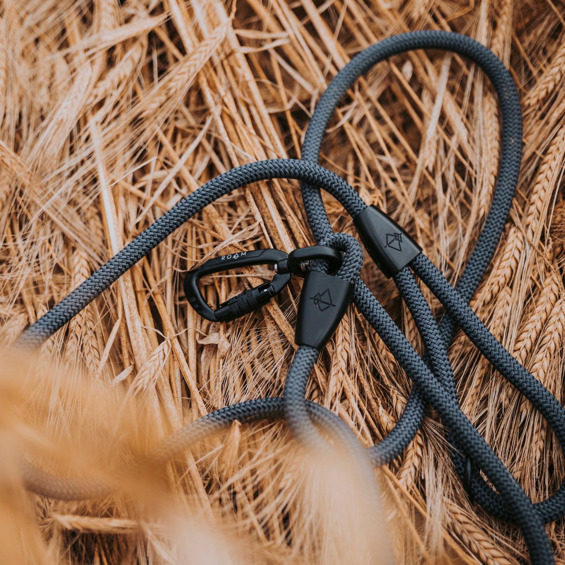 Explorer Leash -  - Made To Roam