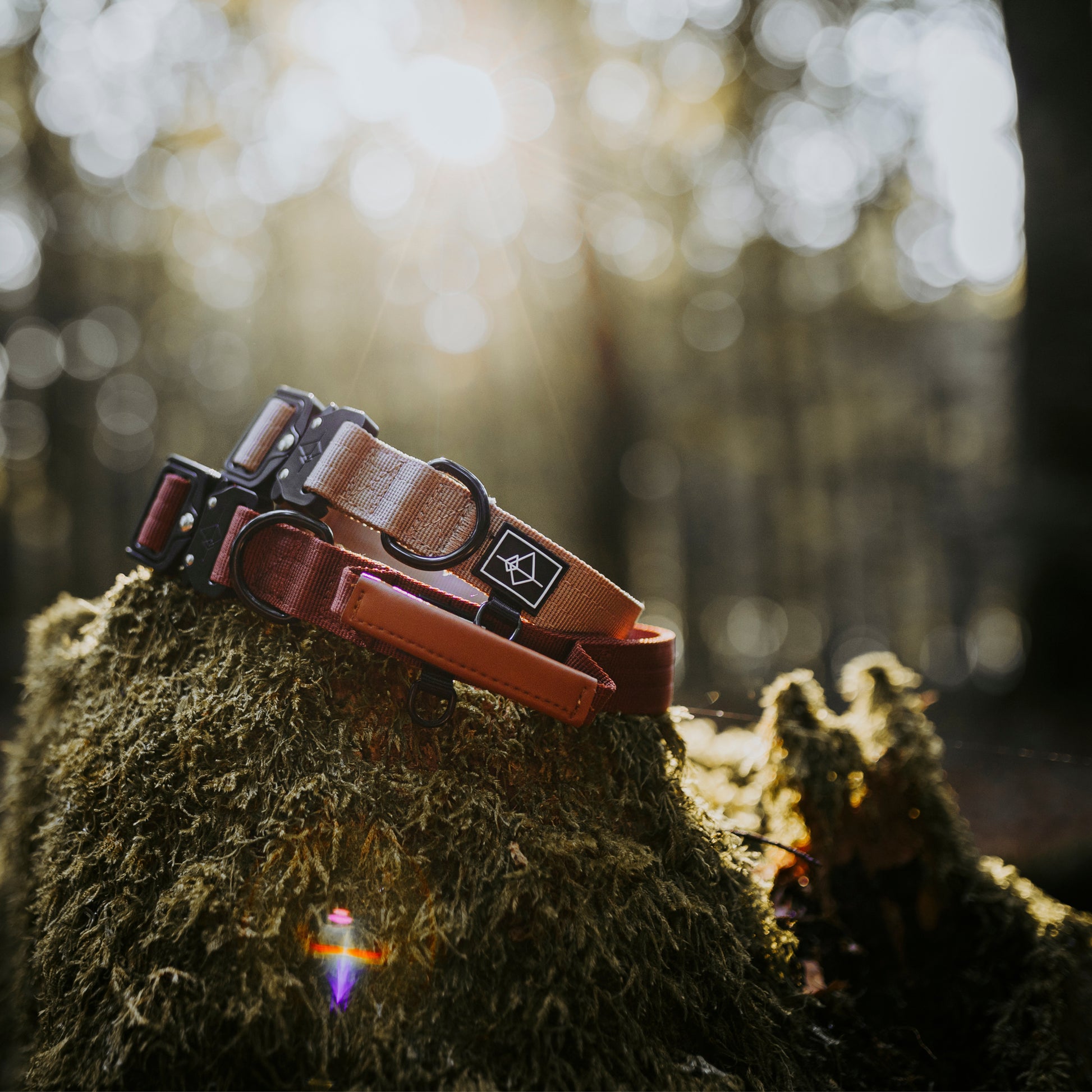 Explorer Control Collar - - Made To Roam
