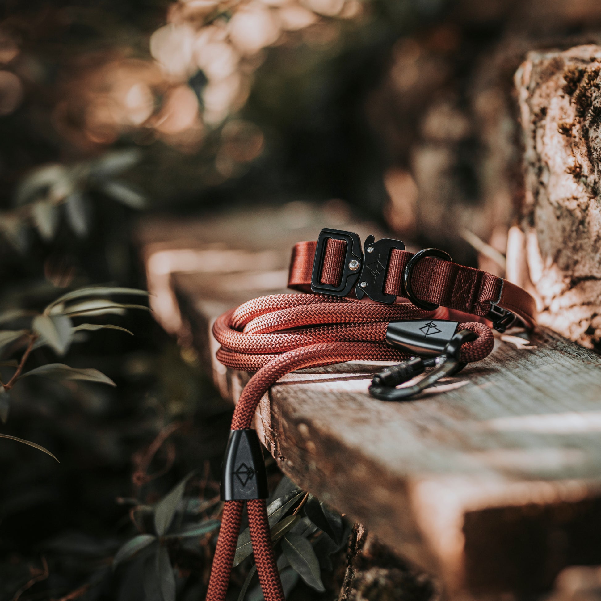 Explorer Leash -  - Made To Roam