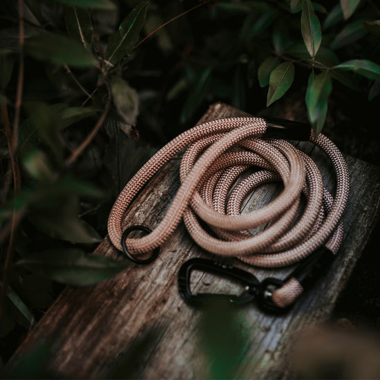 Explorer Leash -  - Made To Roam