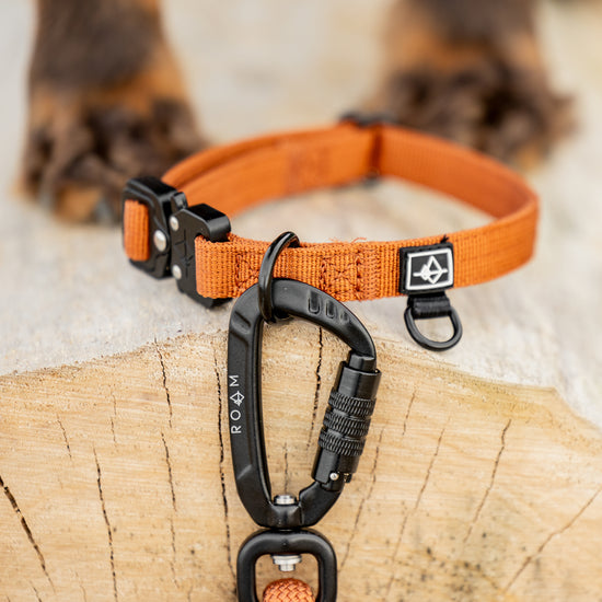 Explorer Leash -  - Made To Roam