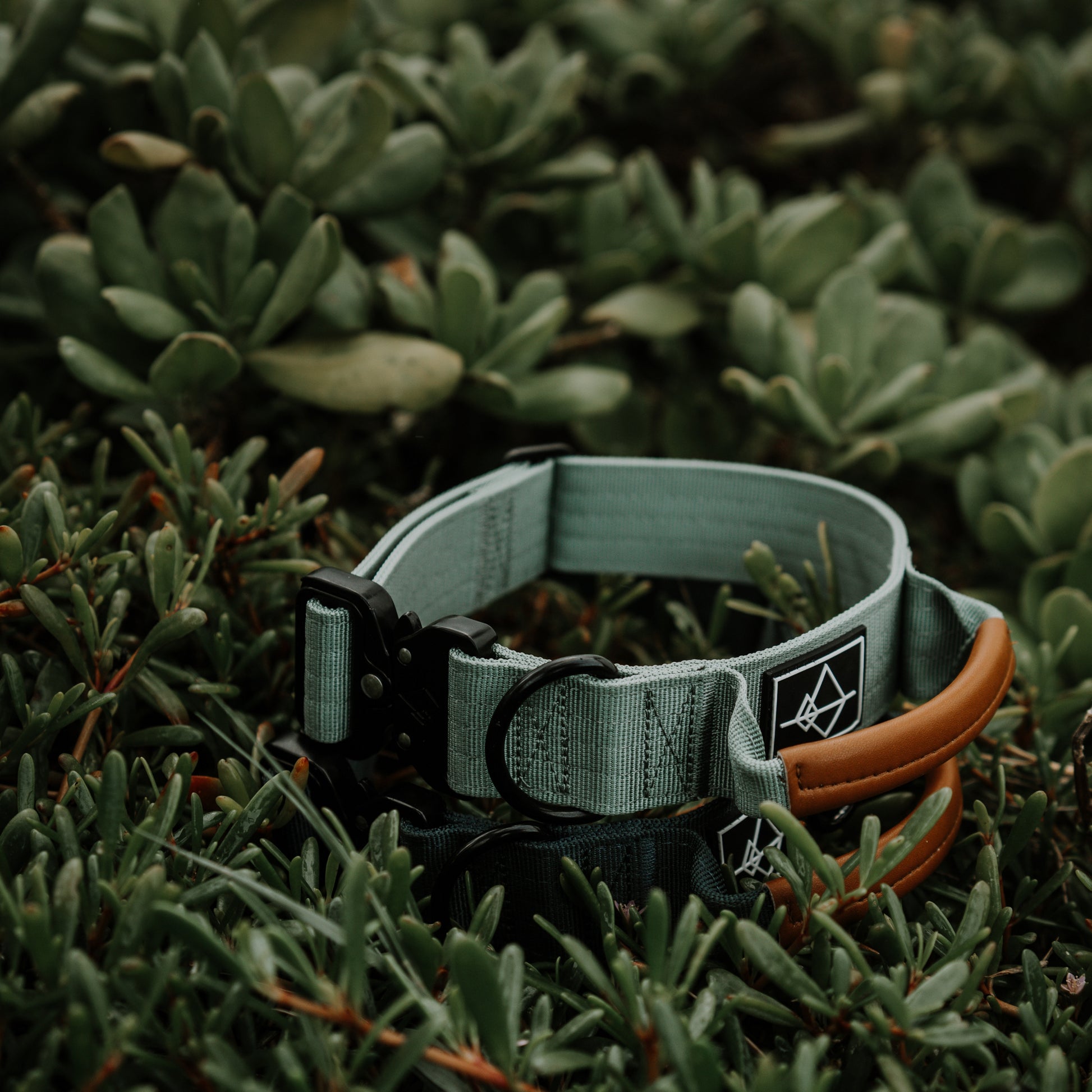 Explorer Control Collar - - Made To Roam