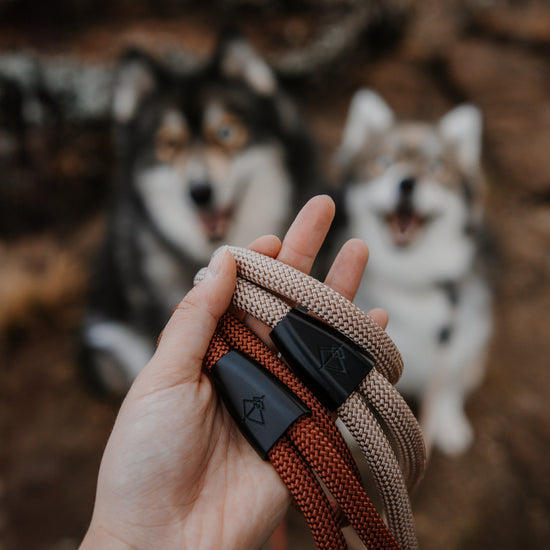 Explorer Leash -  - Made To Roam