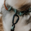 Explorer Leash -  - Made To Roam