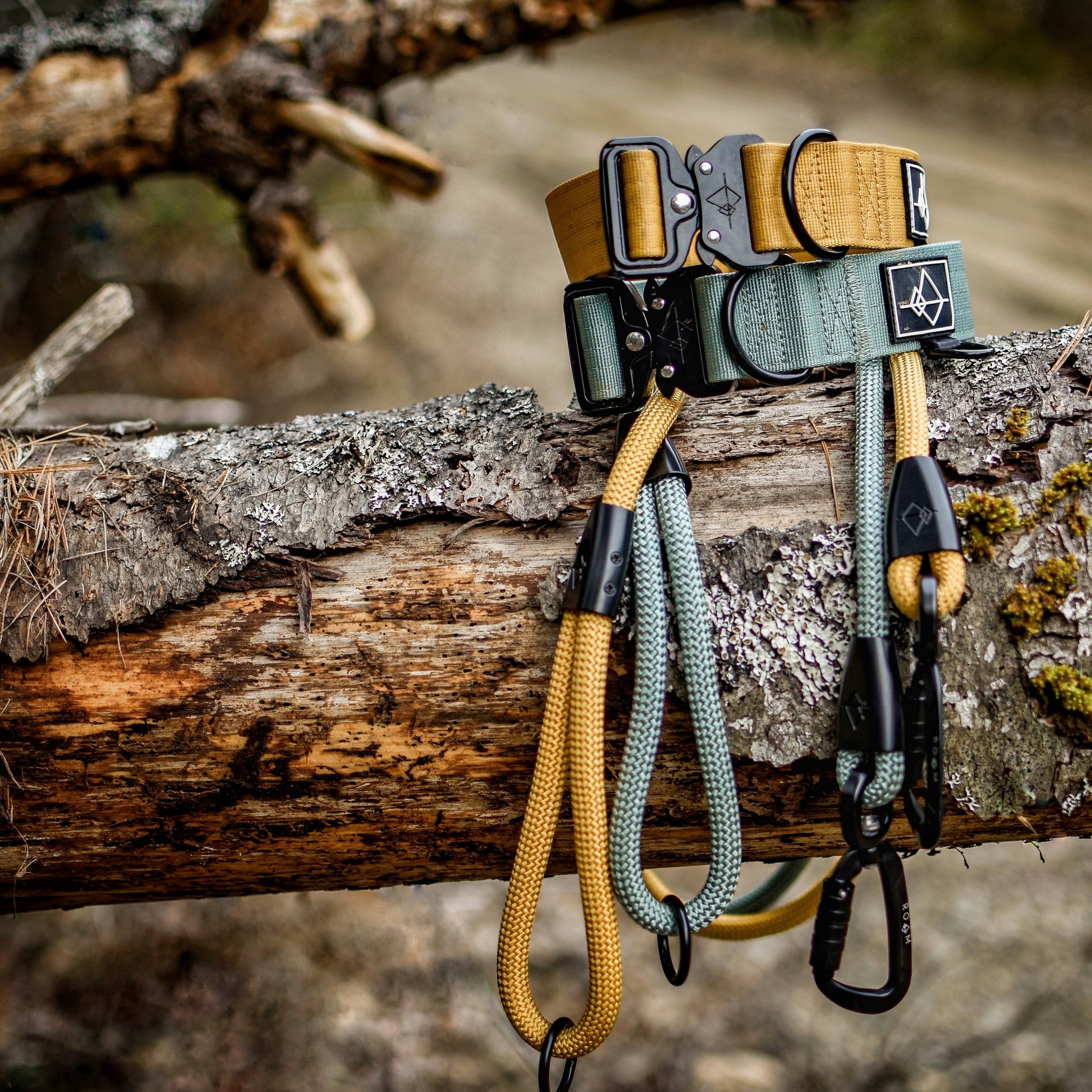 Explorer Leash -  - Made To Roam