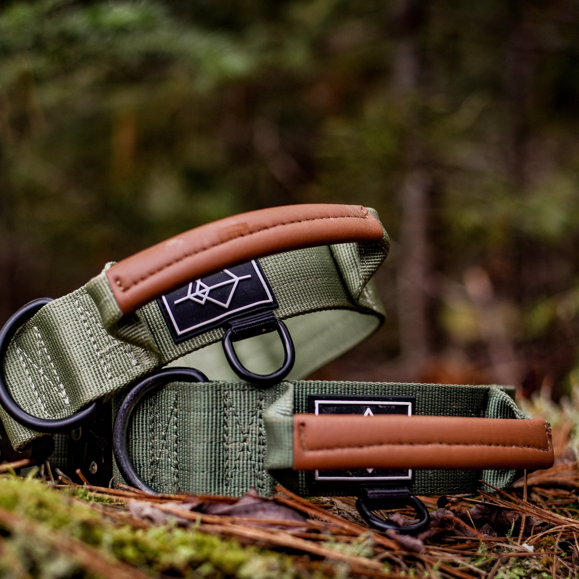 Explorer Control Collar - - Made To Roam