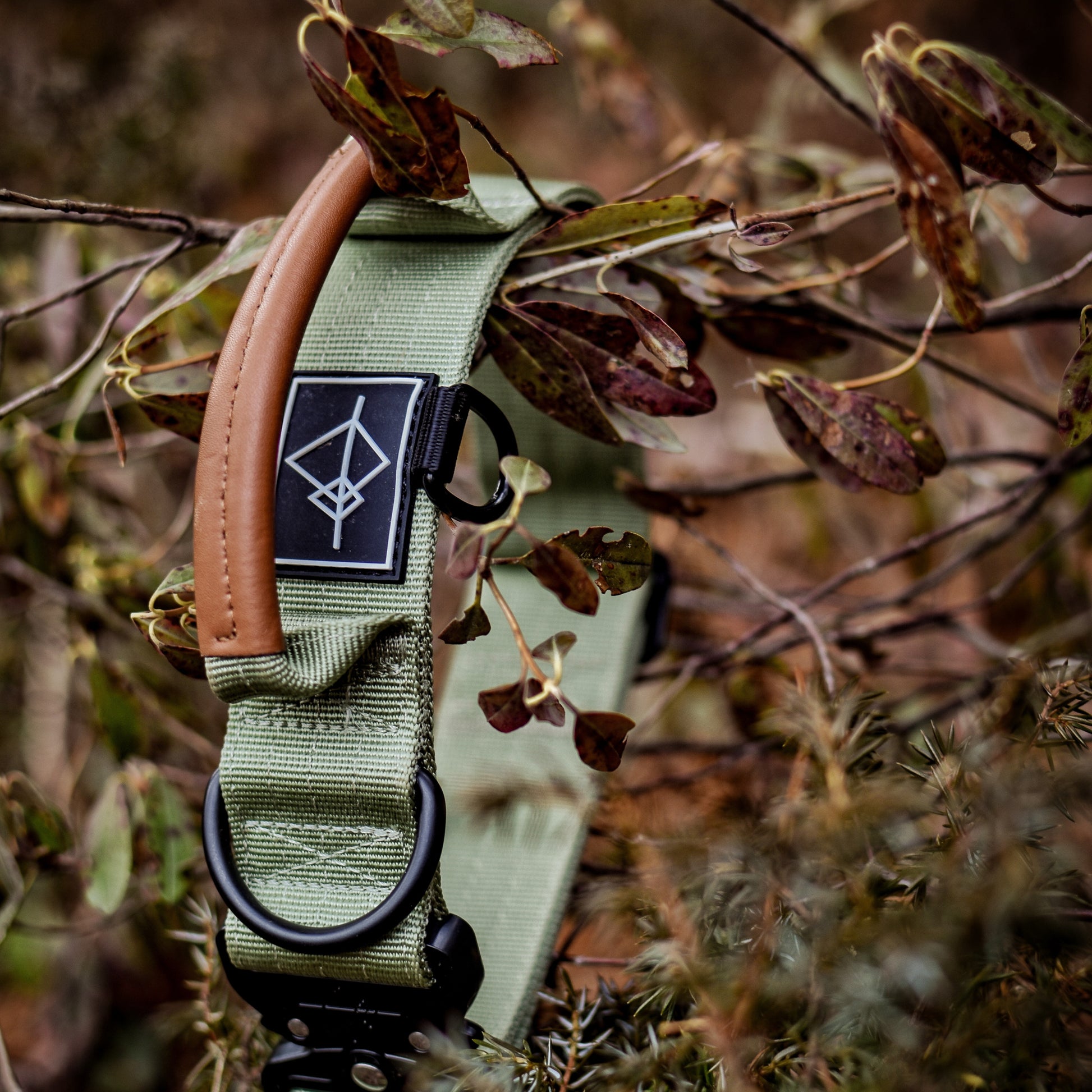 Explorer Control Collar - - Made To Roam