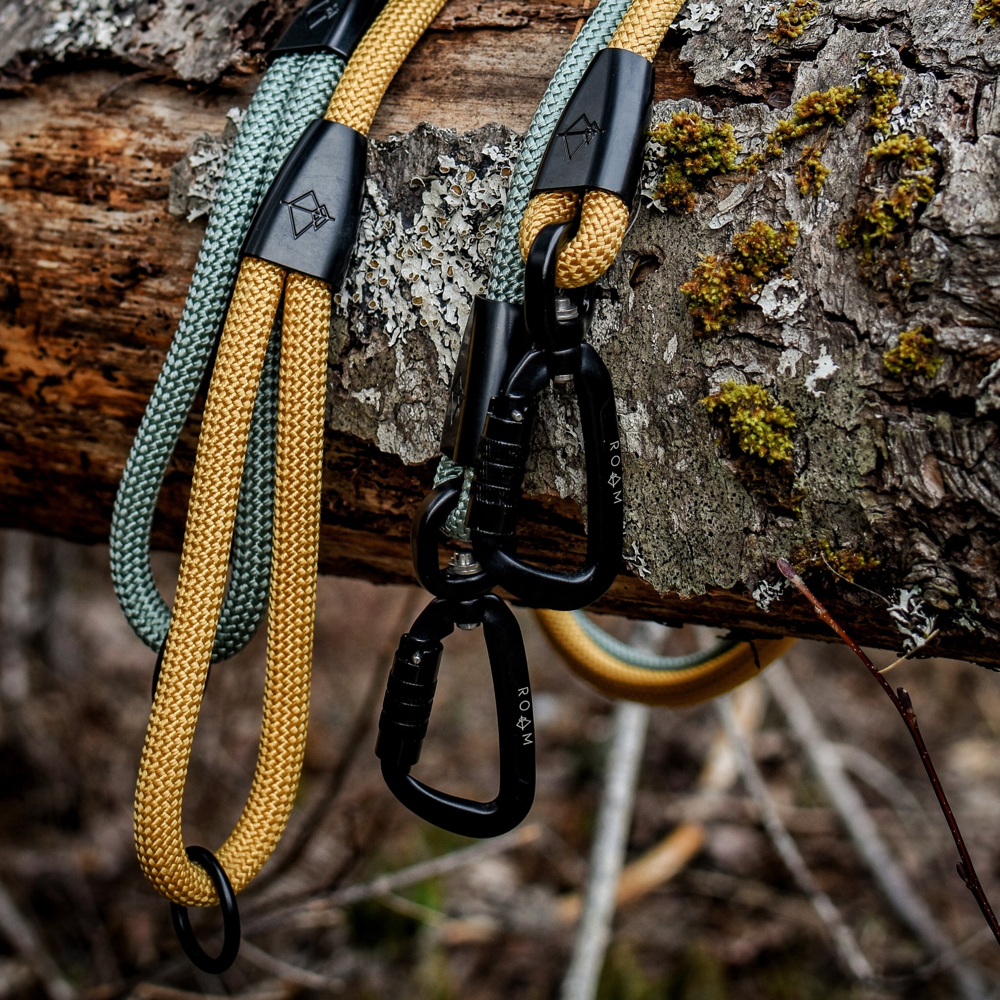 Explorer Leash -  - Made To Roam