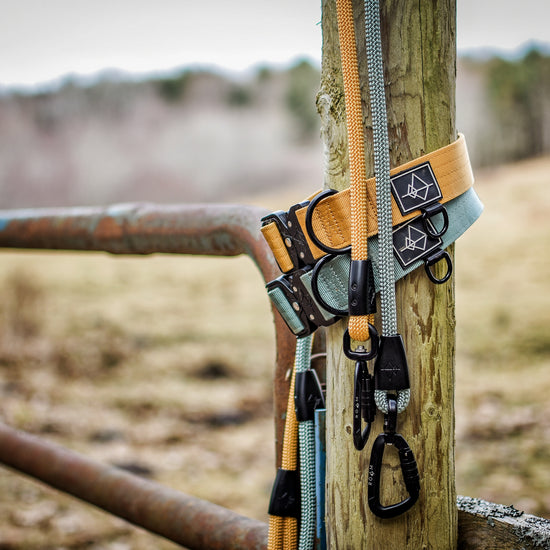 Explorer Leash -  - Made To Roam