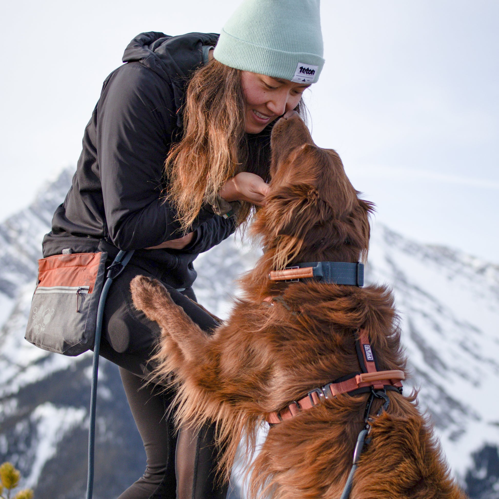 Explorer Control Collar - - Made To Roam