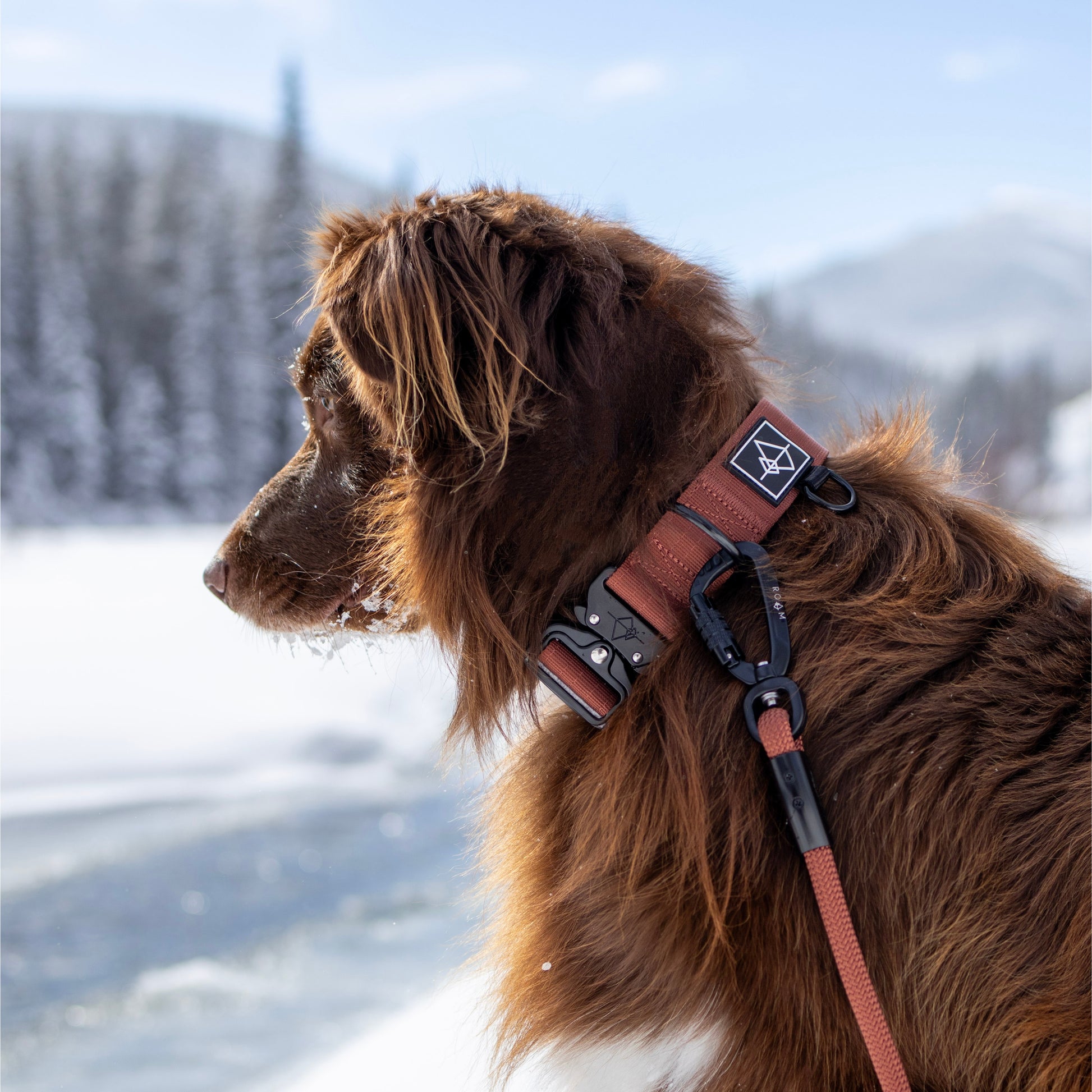 Explorer Leash -  - Made To Roam