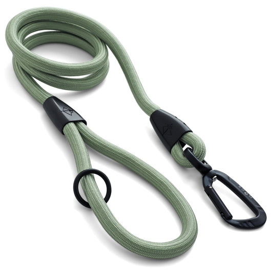 Everyday Leash -  - Made To Roam