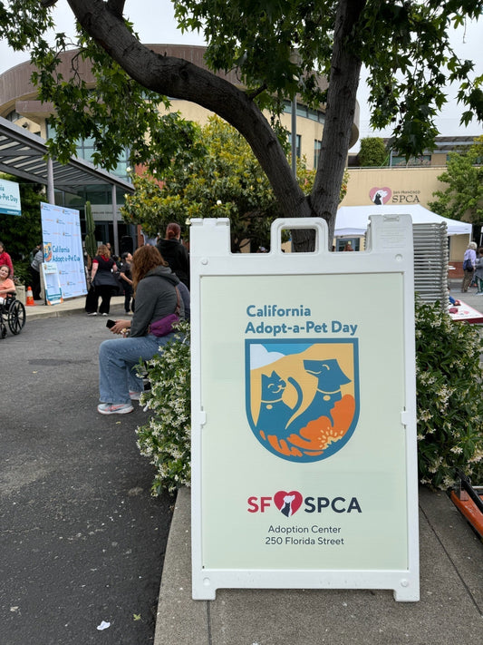 Joining Forces with the SF SPCA for California Adopt-a-Pet Day